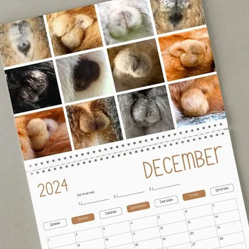 1 ШТ. Забавный календарь для кошек - Забавный подарок - Календарь для ягодиц кошек на 2024 год, как показано на рисунке Бумажный кот- - Кошачьи яички - Белый слон